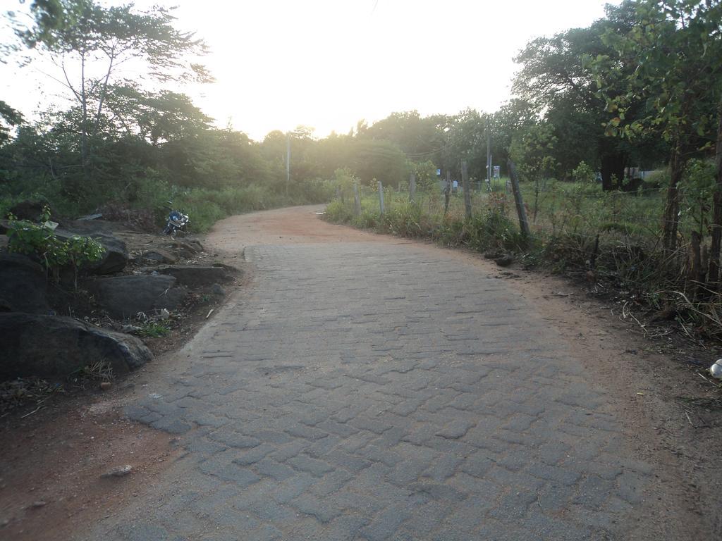 Robert Inn Dambulla Exterior foto